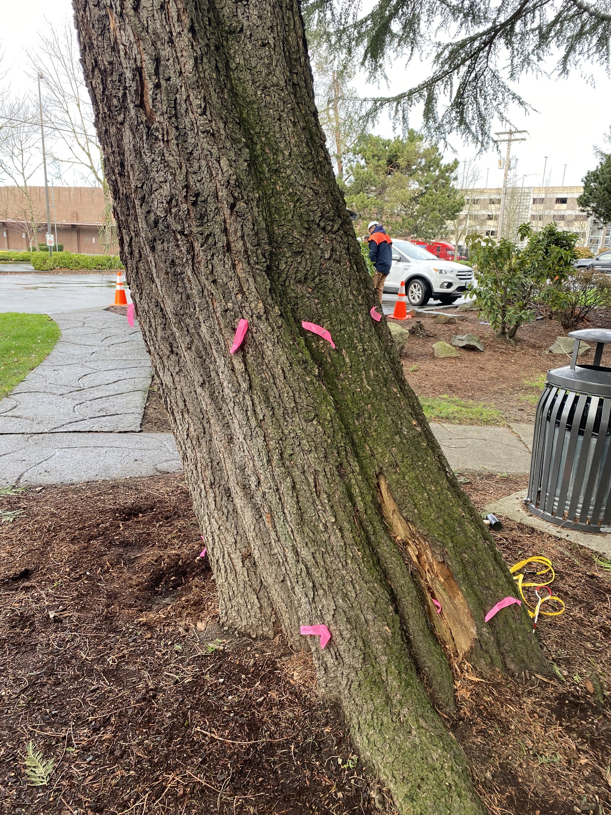 Kaibaraparkwa Drilling PP2