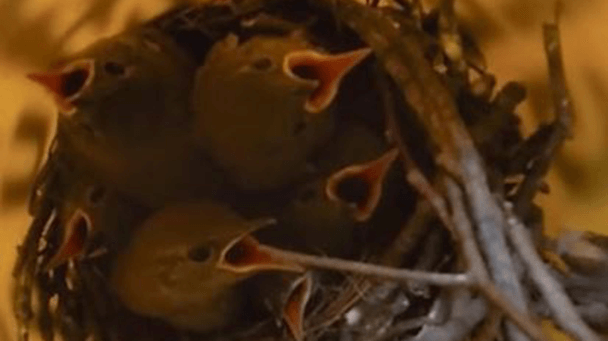 Tc Energy Sideimage3 608X341