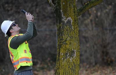 Treekeeper Photo Doc Inventory