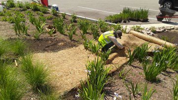 Green Infrastructure