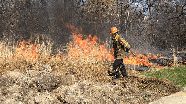 Ec Project Profile Elmhurst Sideimage2 608X341