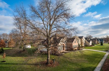 Dormant Pruning At House Davey Tree