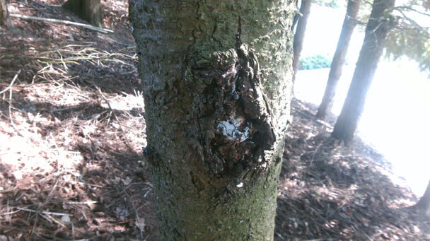 Juanita High School Side Image 608X341