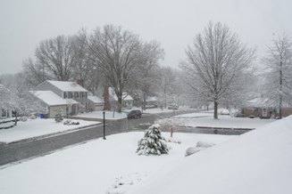 Snowy neighborhood street