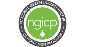 Ngicp