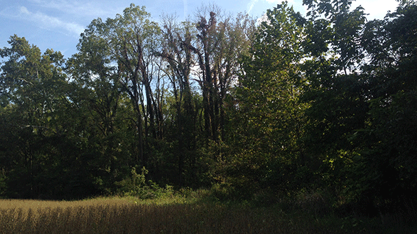 Vectren Sideimage3 608X341