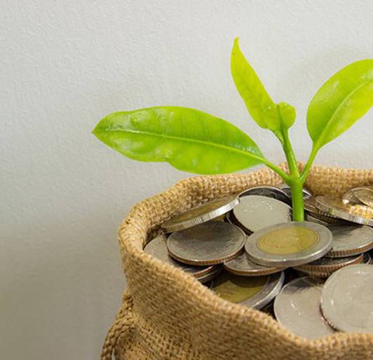 Urban Forestry Grant Writing