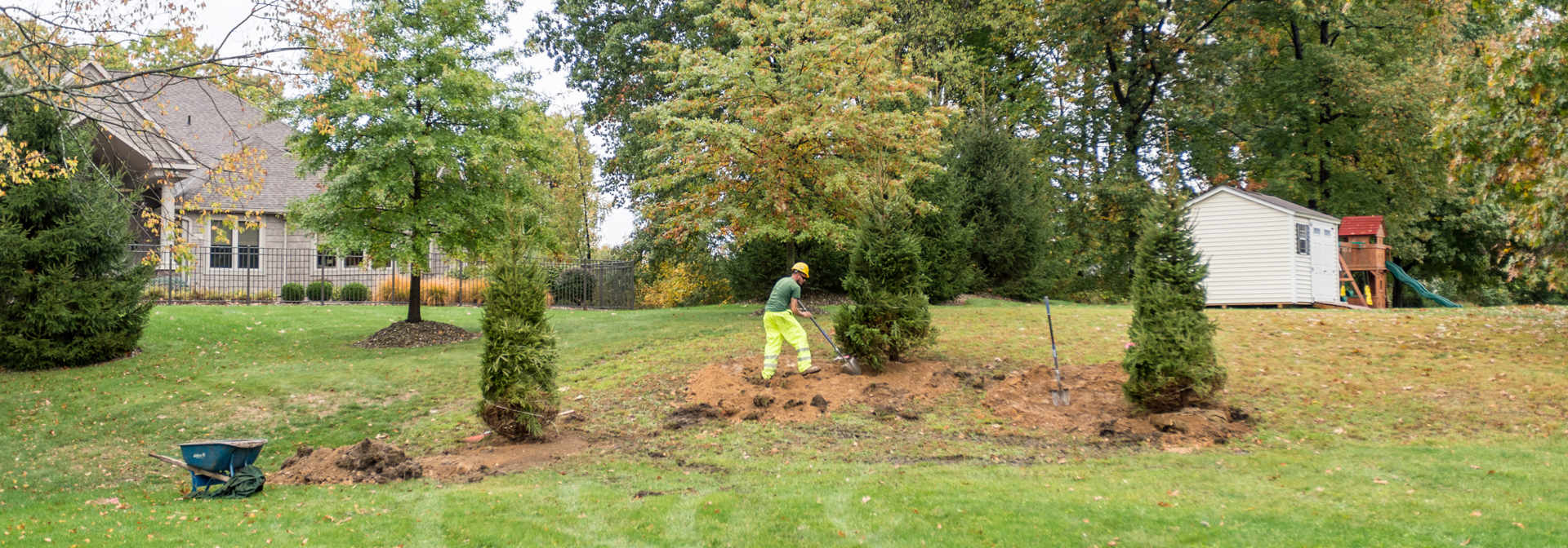 Arborist Services