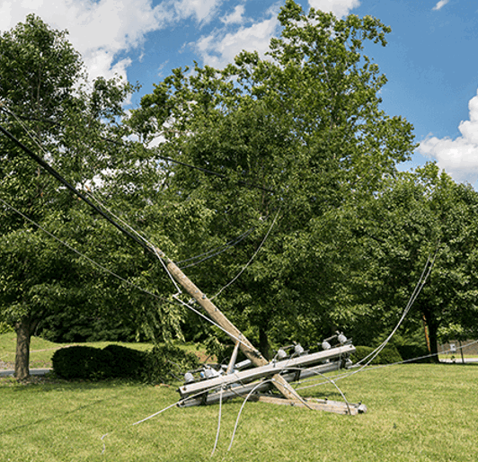 Storm Damage