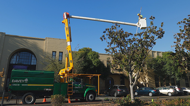 Rcsd Sideimage 608X341