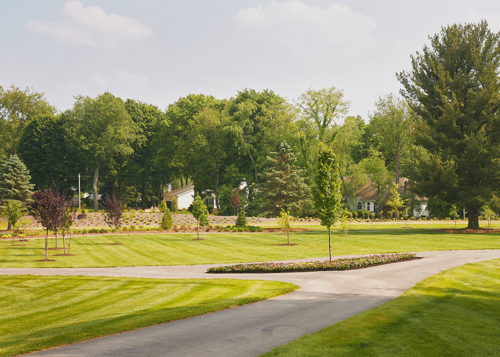 A green area with walkways surrounded by various trees and plants.