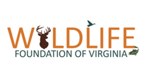 Wildlifepluslogo9