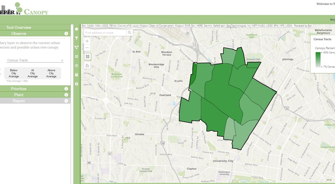 Urban & Community Forestry Services in St. Louis County, MO | Davey Tree