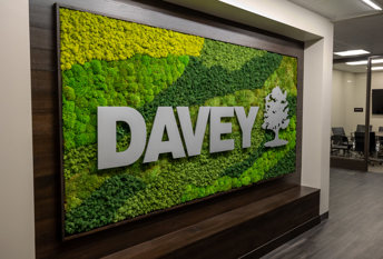 Moss wall in Davey Tree's corporate office