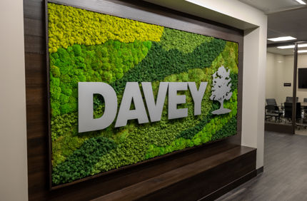 2022 11 04 Davey Tree Construction 57 (1)