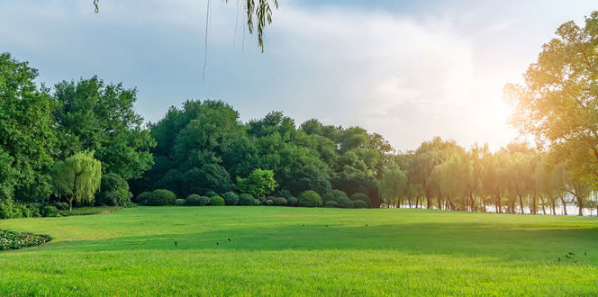 Adobestock 308225895