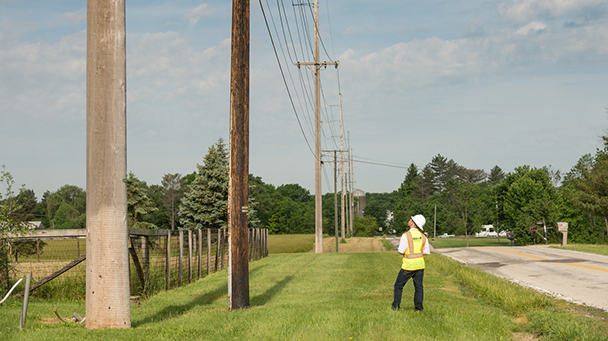 DUS_New York Power Authority_VM_0221 Davey Tree