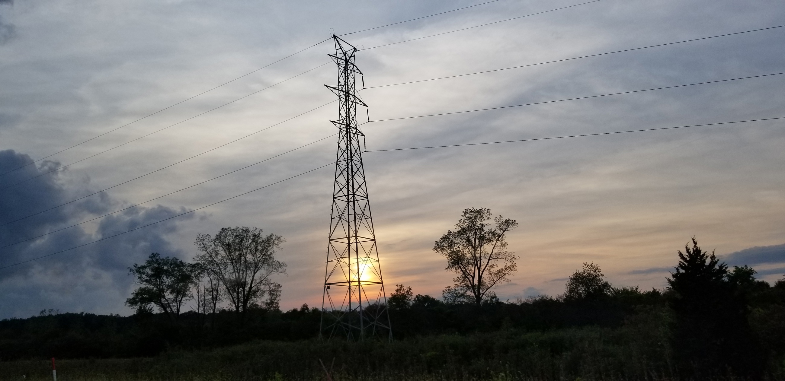 InvestorOwned Utilities Davey Tree