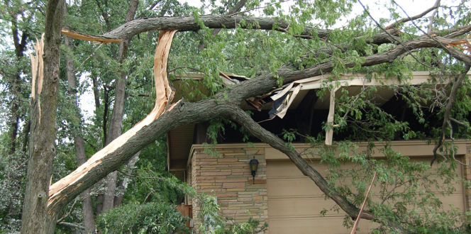 Storm Damage3