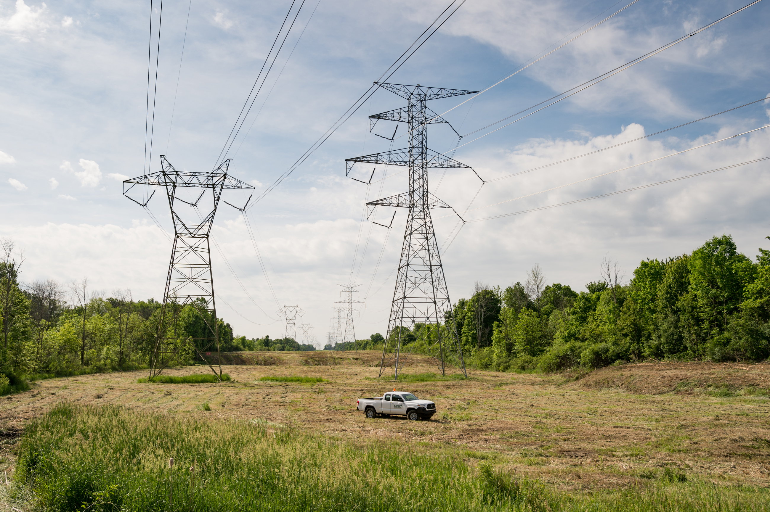 Project & Program Management