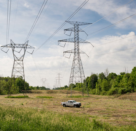 vegetation management software