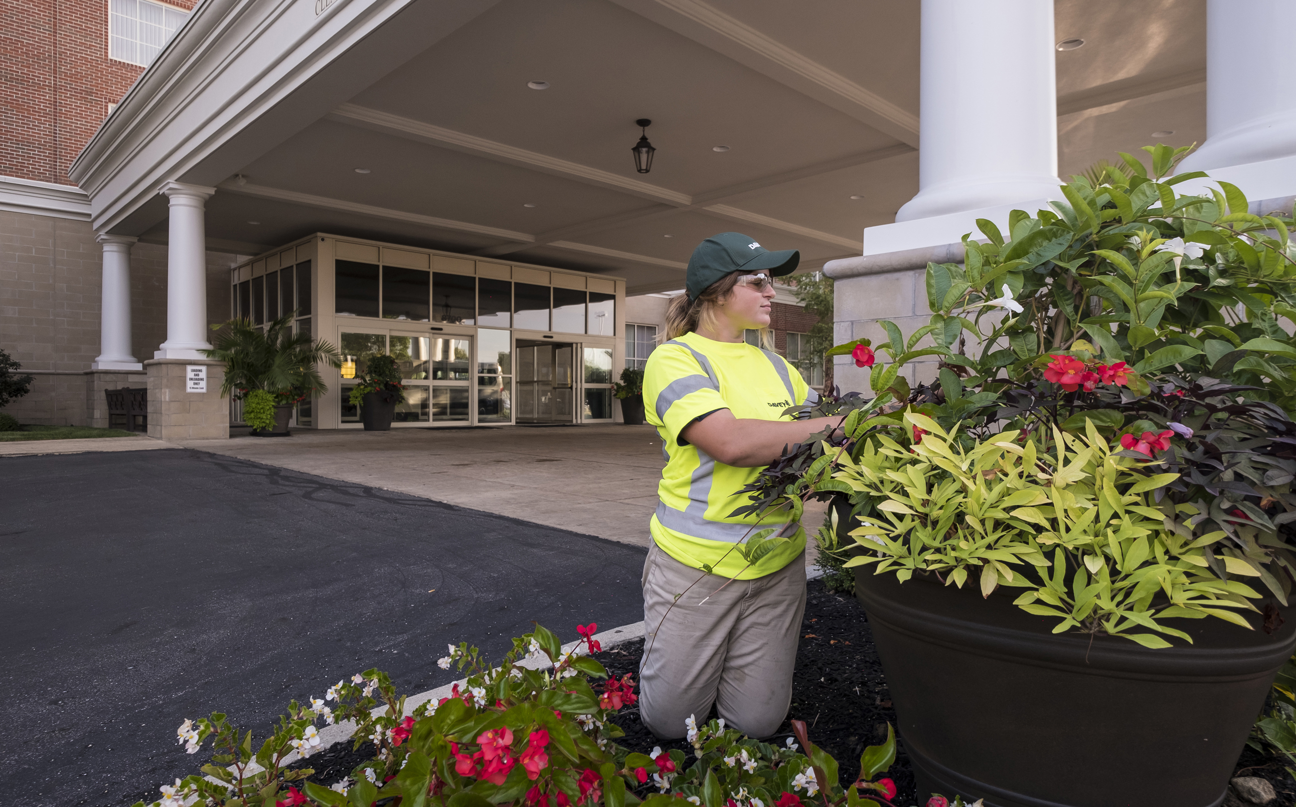 091119 Davey Tree Rh 122