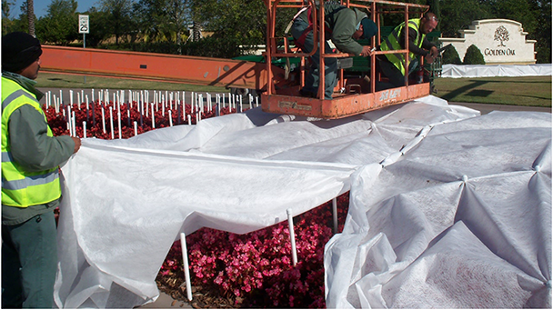 Commercial Blog Winter Landscape Side Image5 608X341