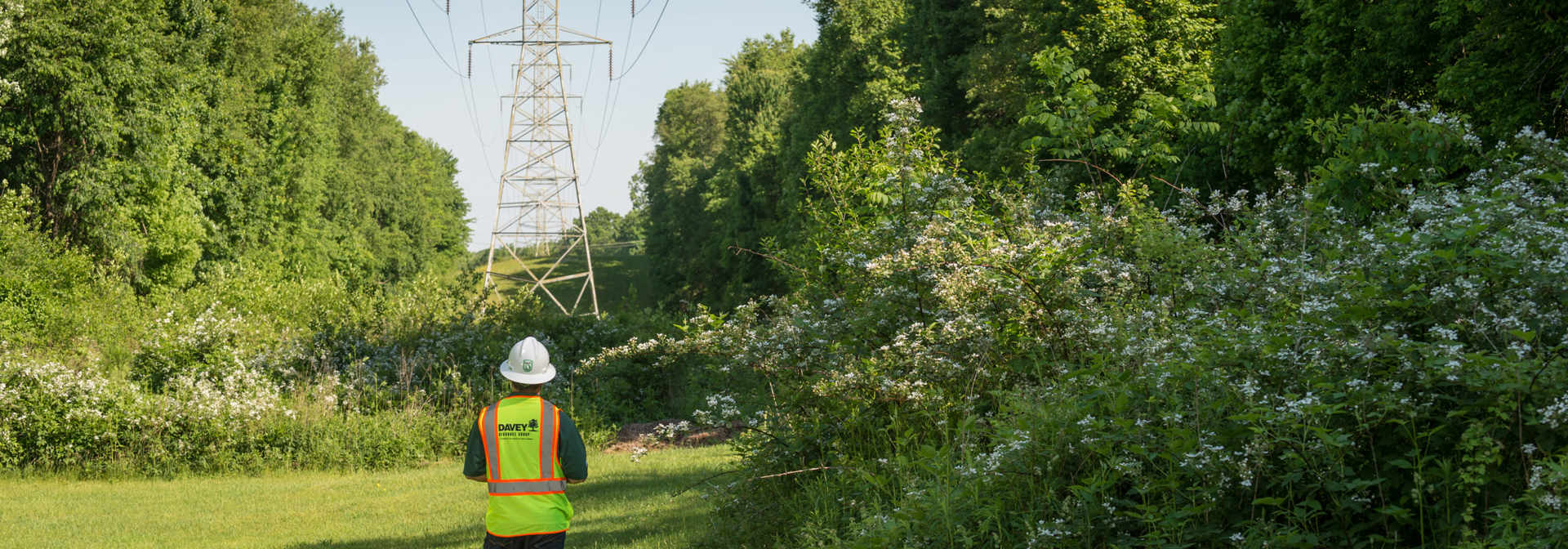 Asset & Vegetation Management & Data Collection Software | Davey Tree