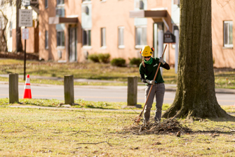 Arborists raking leaves and twigs