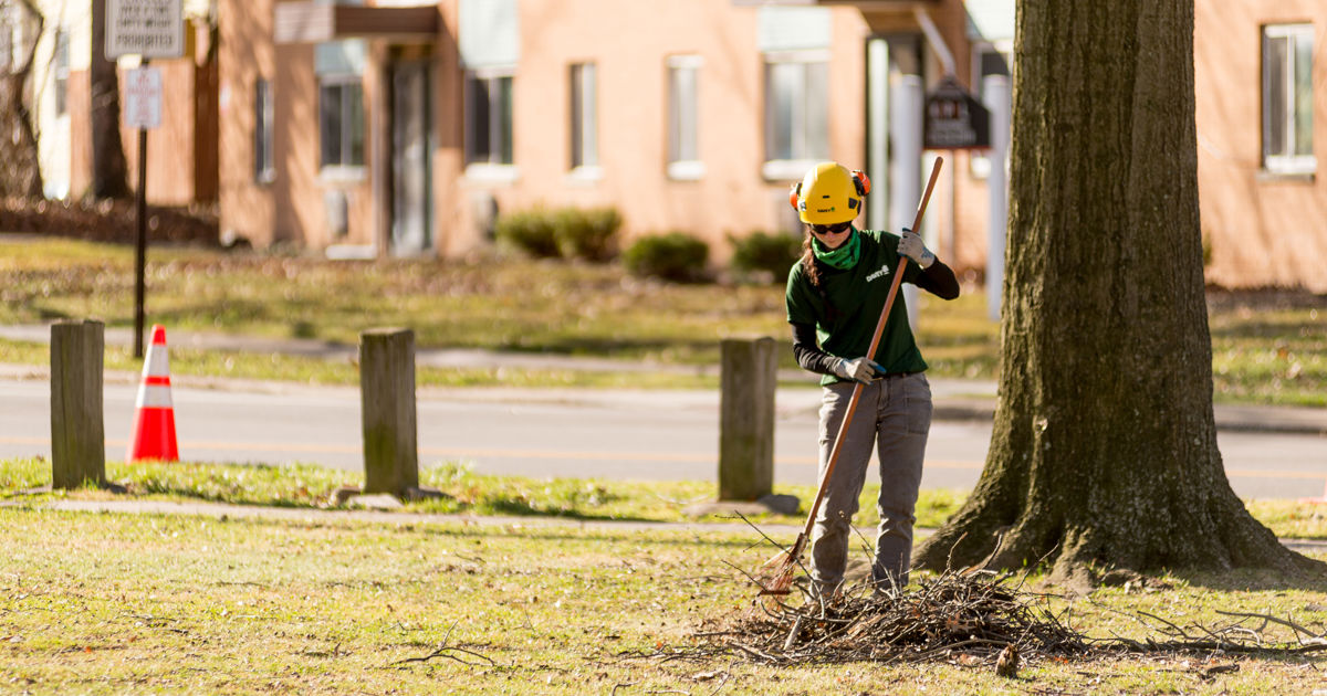 Drop the rake and ‘leave the leaves,’ Edmonton arborist recommends ...
