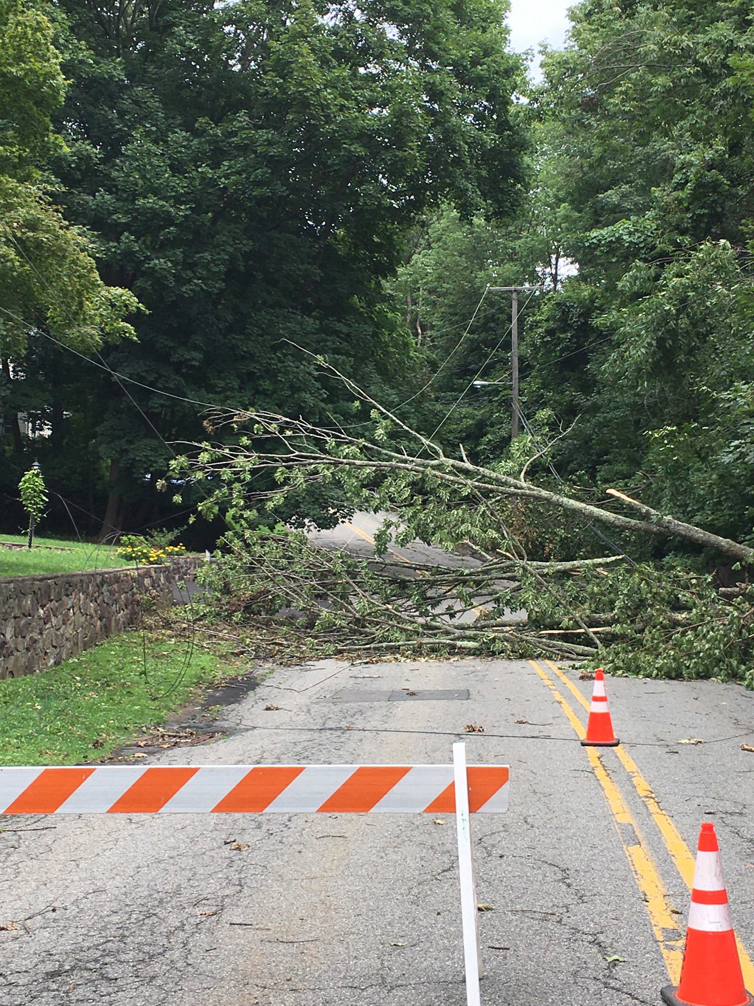 MISSION Storm Response