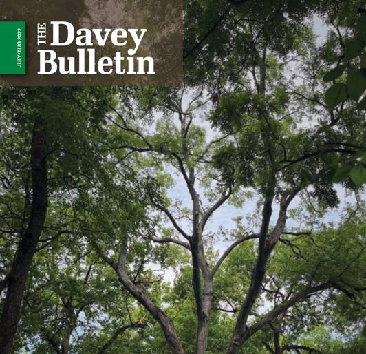 Bulletin Jul Aug 22 Cover