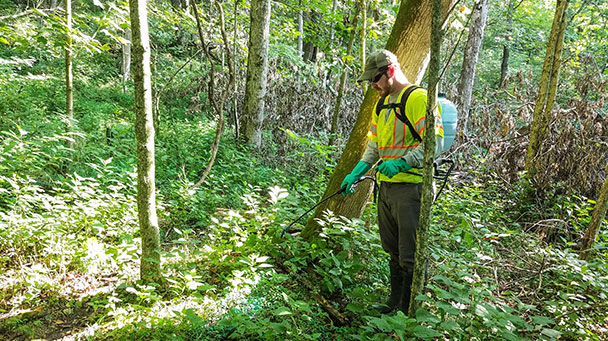 Project Profiles Hamilton Sideimage 608X341