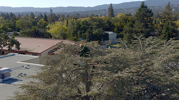 Rcsd Sideimage3 608X341