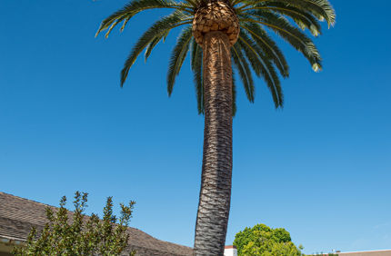 Dsc 6123