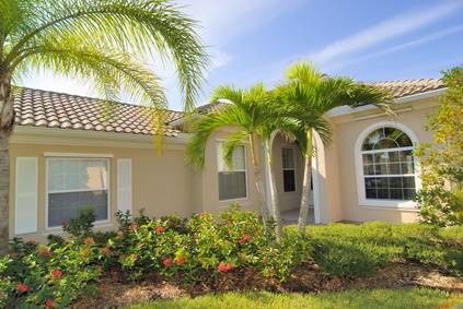 Palm Tree In Front Of Florida Home Davey Tree 002