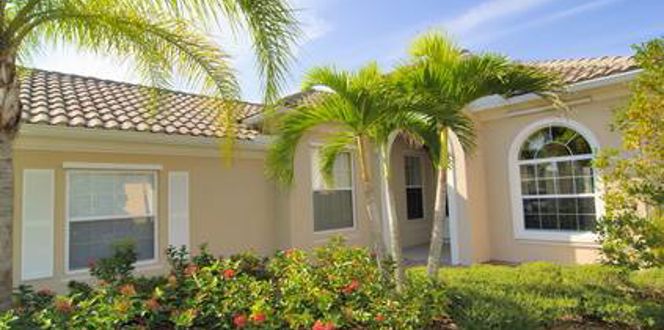 Palm Tree In Front Of Florida Home Davey Tree 002