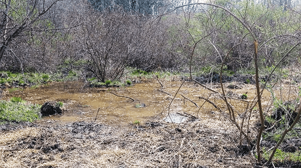 Environmental Project Profiles Chesterland Oh Sideimage3 608X341