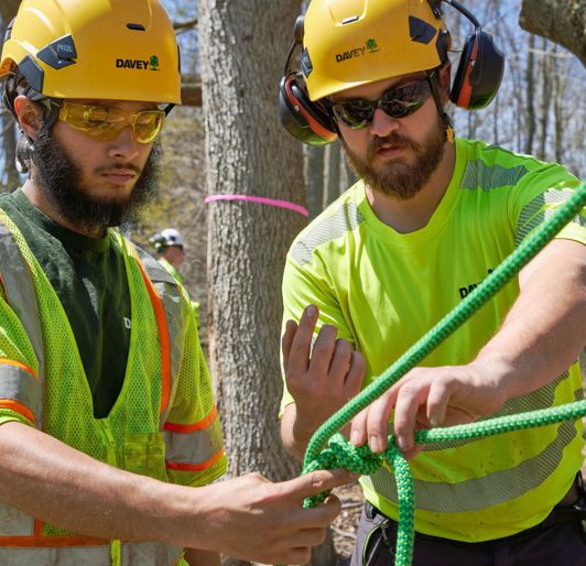 Safety Training