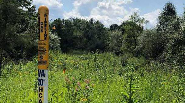 Mcgann Ihm Sideimage 08212019