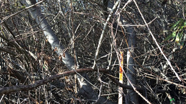 Access Roads 3 Sideimage