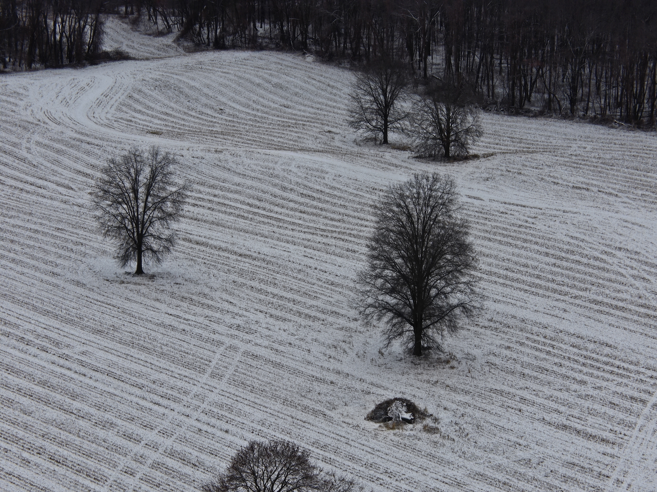 DJI 20240104154029 0065 Z 5184X3888 F65f09f (2)