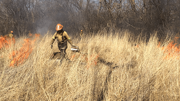 Ec Project Profile Elmhurst Sideimage 608X341