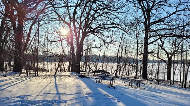 Environmental Pp Buckthorn Sideimage 608X341