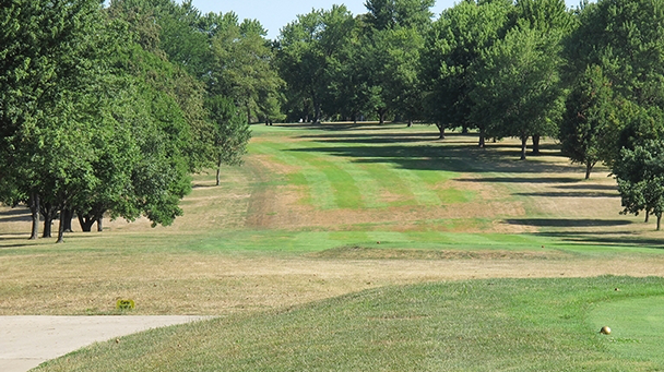 Pest And Disease Center Leaf Spot And Melting Out Sideimage 608X341