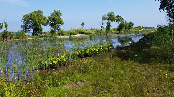 Environmential Project Profile Ashtabula Sideimage 608X341