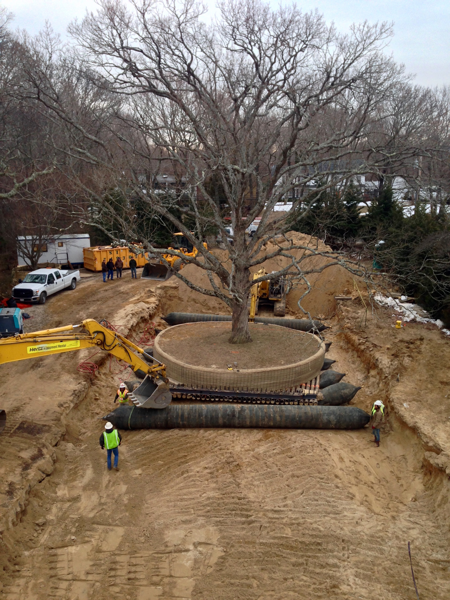 Large Tree Moving Shelter Island NY