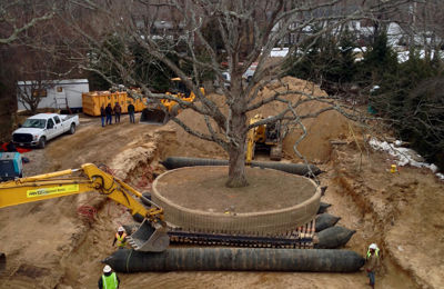 Large Tree Moving Shelter Island NY