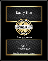 Top Tree Service