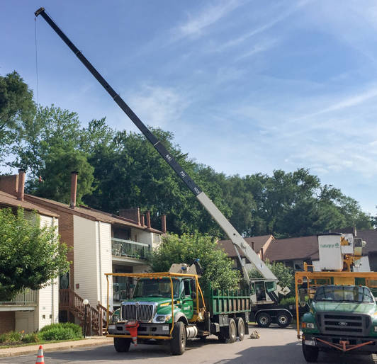 Tree Storm Prep